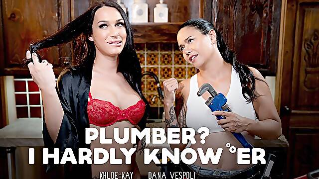 Plumber? I Hardly Know Er, Scene #01