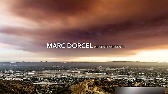 Shyla Jennings, Emily Willis And Elsa Jean In Excellent Sex Video Milf Wild