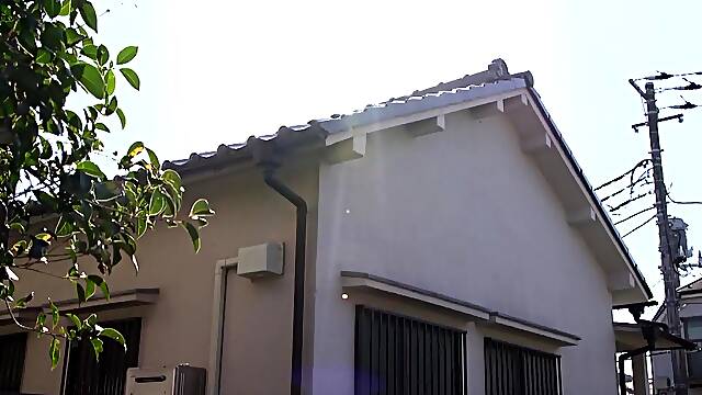 Full Movie Videos
