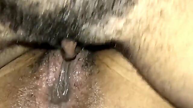 Tribbing compilation