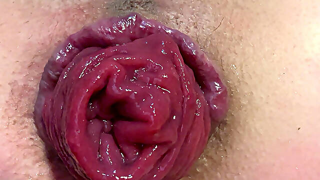 Spread and prolapse my asshole close up