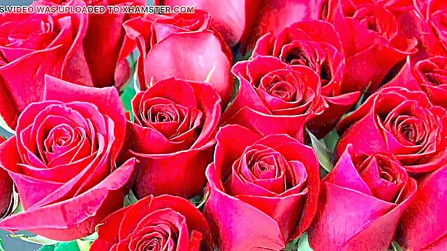 Bangla choto golpo mind-blowing mature saree chachi cheating hasband total story in Bangla audio choto golpo fresh bangla